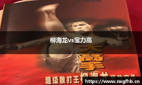 柳海龙vs宝力高