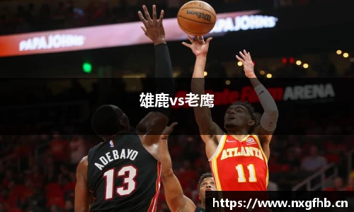 雄鹿vs老鹰