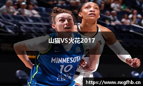 山猫VS火花2017